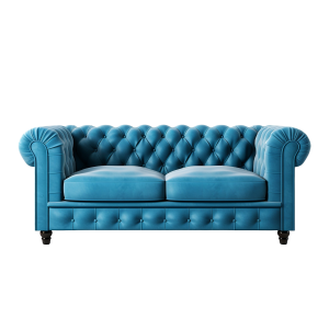 Beautiful Couch